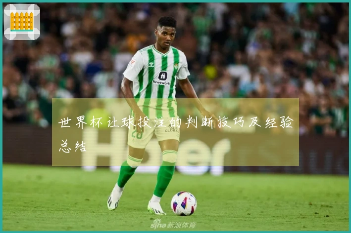 世界杯让球投注的判断技巧及经验总结