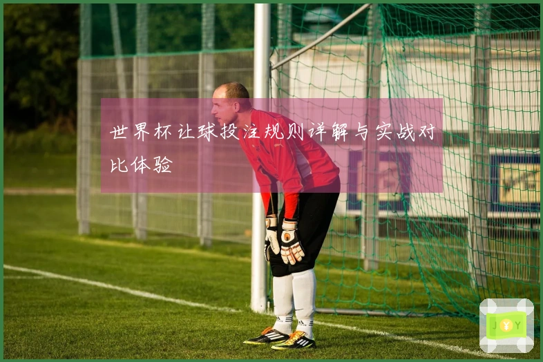 世界杯让球投注规则详解与实战对比体验