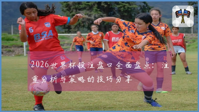 2026世界杯投注盘口全面盘点：注重分析与策略的技巧分享