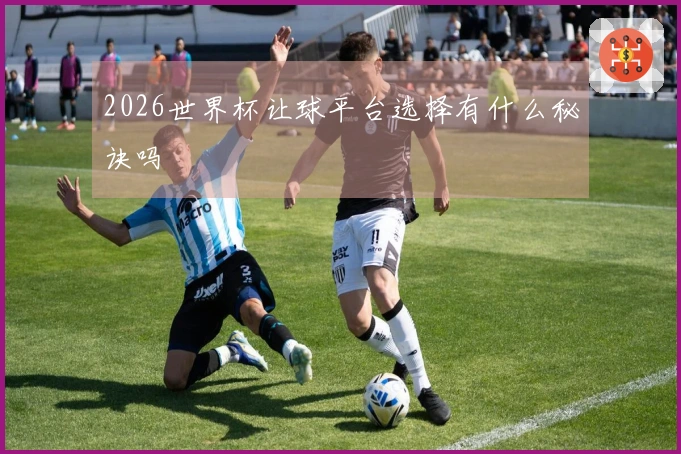2026世界杯让球平台选择有什么秘诀吗